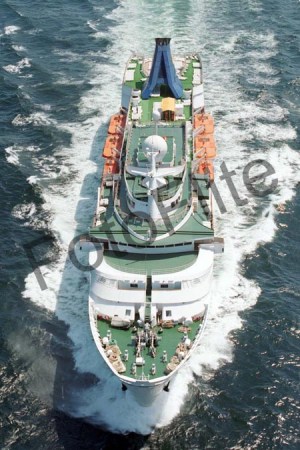 176254.jpg