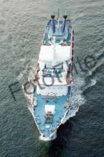 179335.jpg