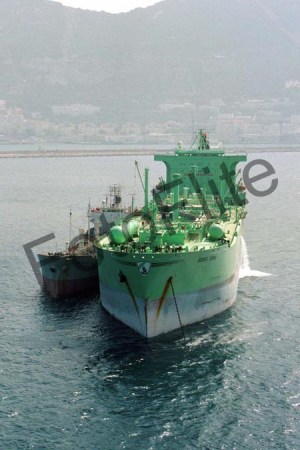 180002.jpg