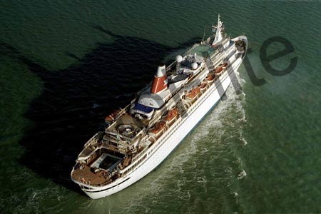 196776.jpg