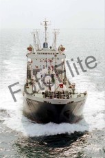1990.jpg