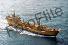 199176.jpg