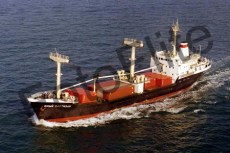 202157.jpg