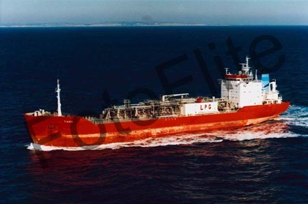 241445.jpg