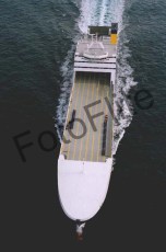 248381.jpg