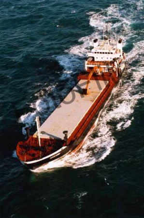 250666.jpg