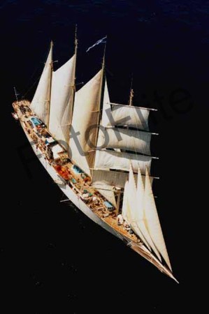 254659.jpg