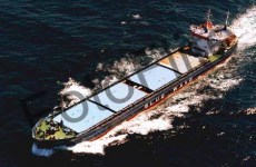 254746.jpg