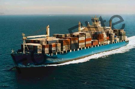 254942.jpg