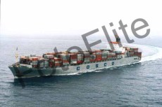 255161.jpg