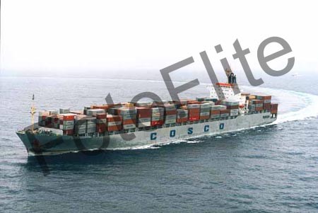 255161.jpg