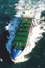 259814.jpg