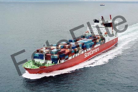 26503.jpg