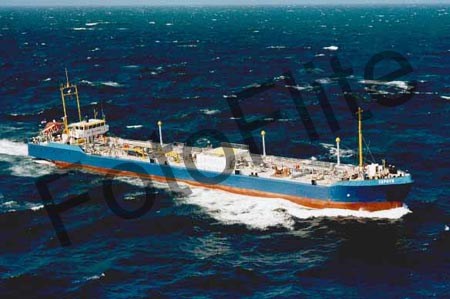 265582.jpg