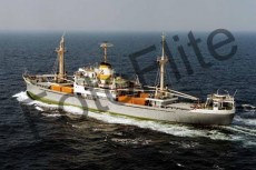 27301.jpg