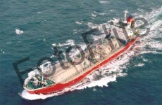 273113.jpg