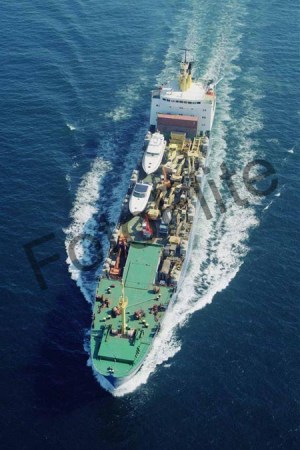 274393.jpg