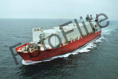 293903.jpg