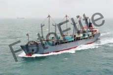 29542.jpg