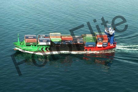 295512.jpg