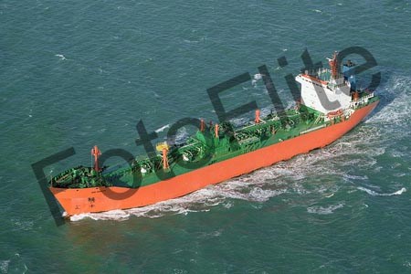 313174.jpg