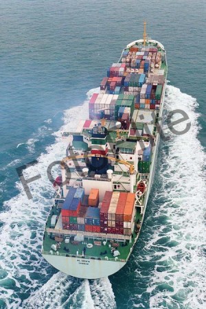31367.jpg