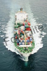 31424.jpg
