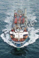 31453.jpg