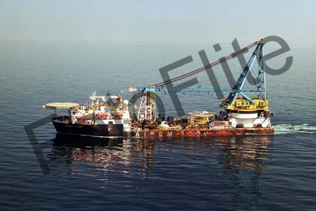 316641.jpg