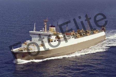 317220.jpg