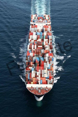 344058.jpg