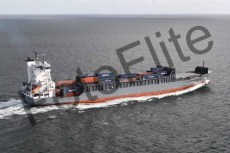 351589.jpg
