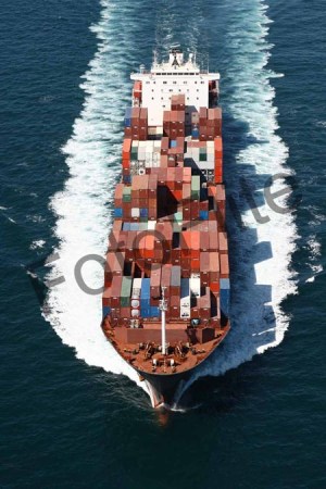 361245.jpg