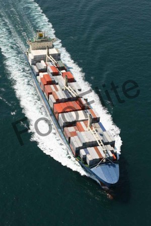 362141.jpg