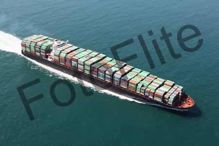 363300.jpg