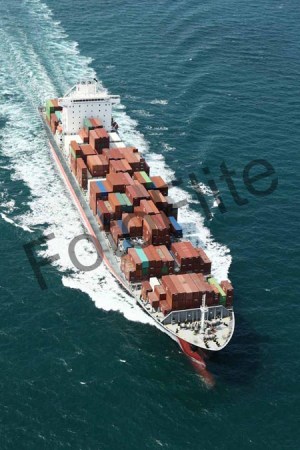 372169.jpg