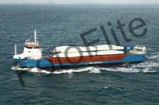 377126.jpg