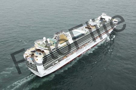 388010.jpg