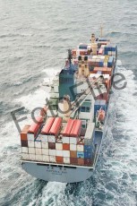 39461.jpg
