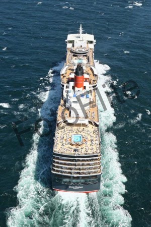397505.jpg