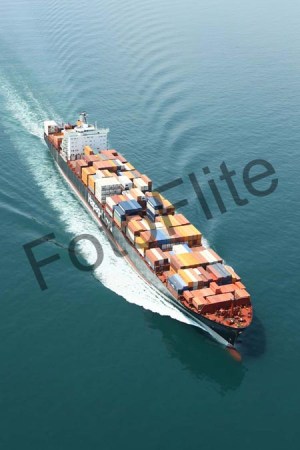 398612.jpg