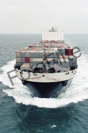 40067.jpg