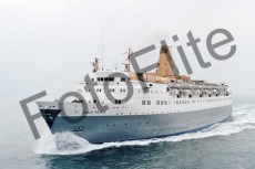 40244.jpg