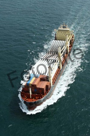 406704.jpg