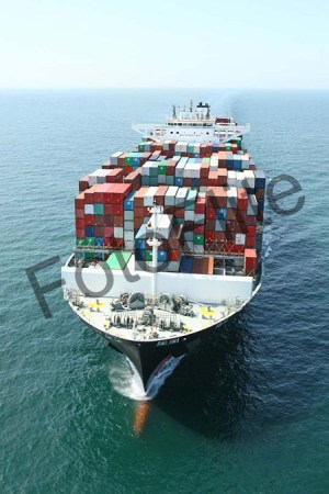 406826.jpg