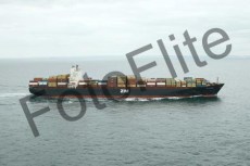 407942.jpg