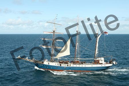 408941.jpg