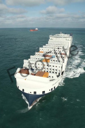 412540.jpg