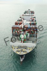 413540.jpg