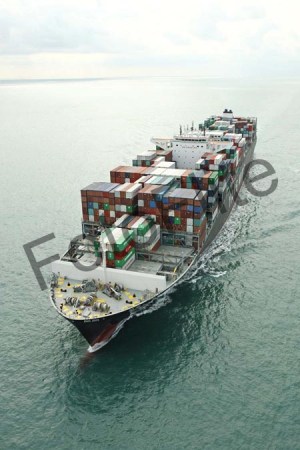 413541.jpg
